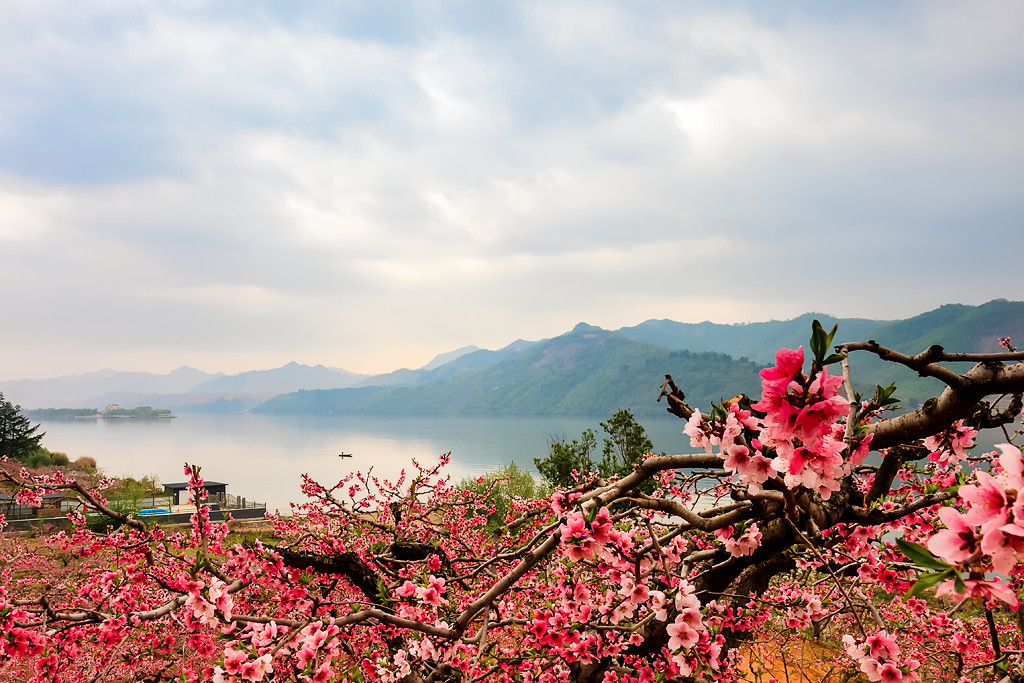 Cg-77Vj7DIKIFBZEAASMBL88SckAACQZgOv6hAABIwc994