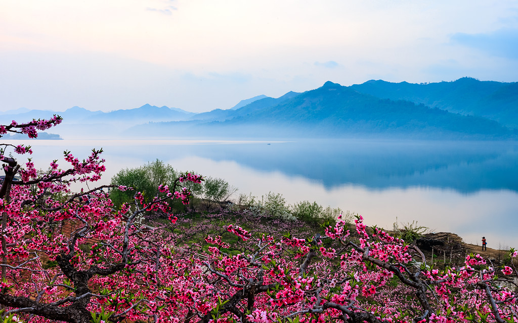 Cg-40lj7DH-ISZQ7AATAFEWMw4QAAFIYAEGXfwABMAs001