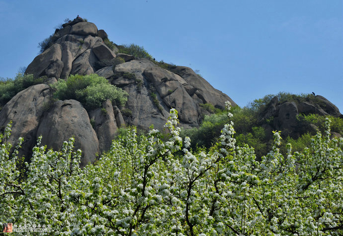 001YRz1jzy6IjnPGrIce0&690