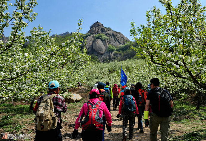 001YRz1jzy6IjnPzYMf97&690