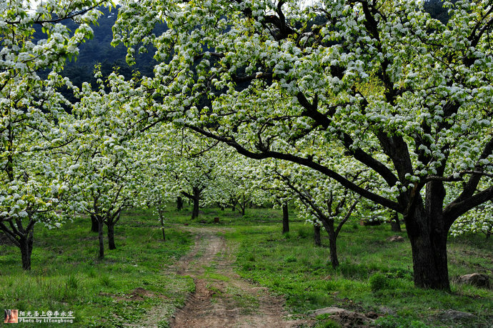 001YRz1jzy6IjnJ0GHIee&690