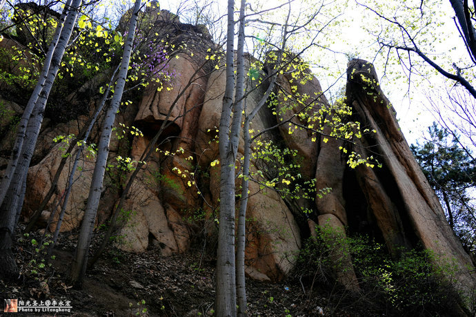 001YRz1jzy6IjnILy1hff&690