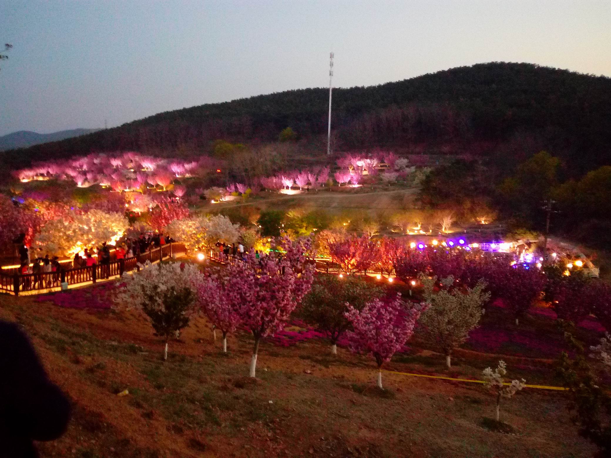 调整大小 IMG_20170429_190745