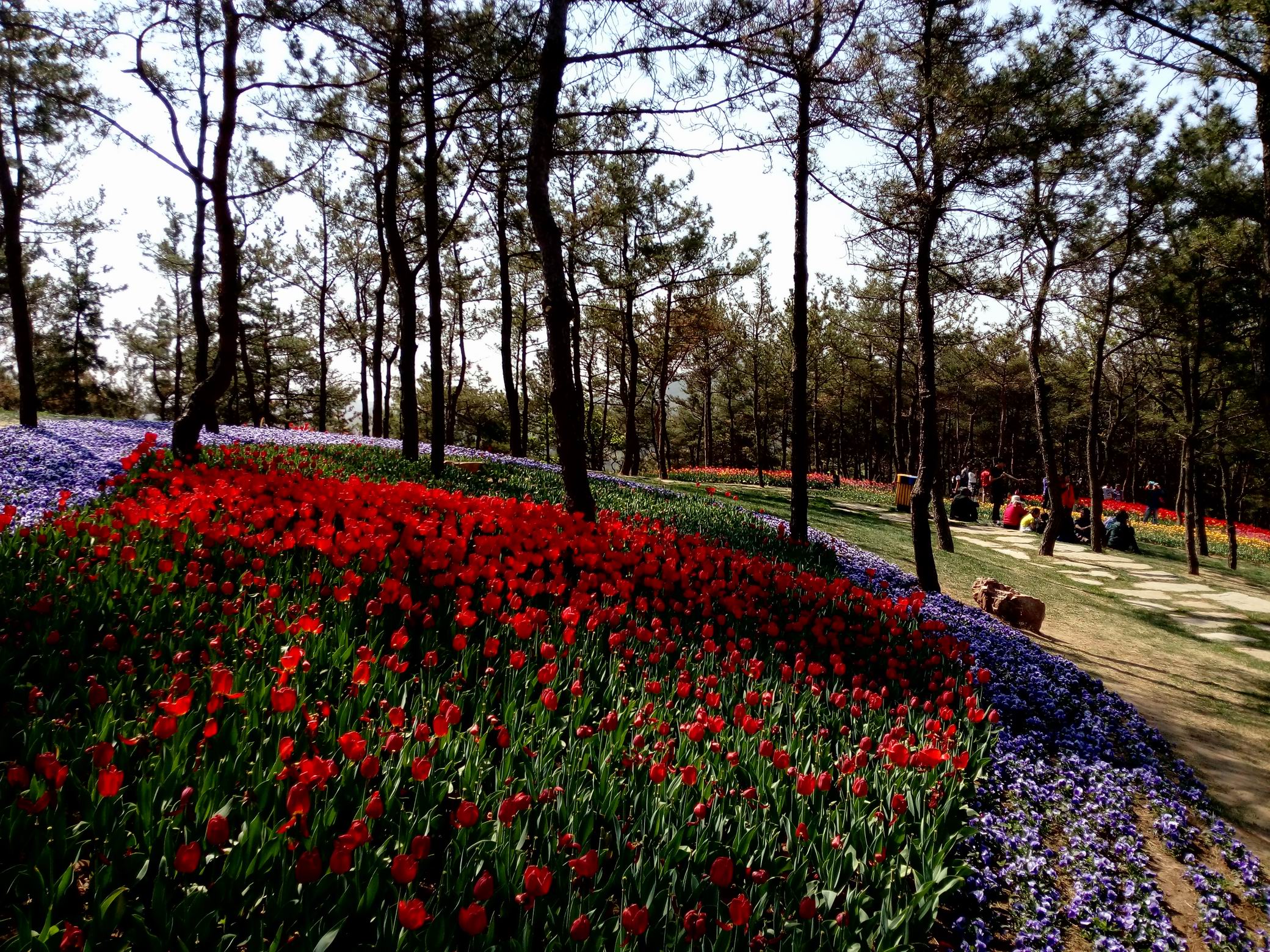 调整大小 IMG_20170430_092818