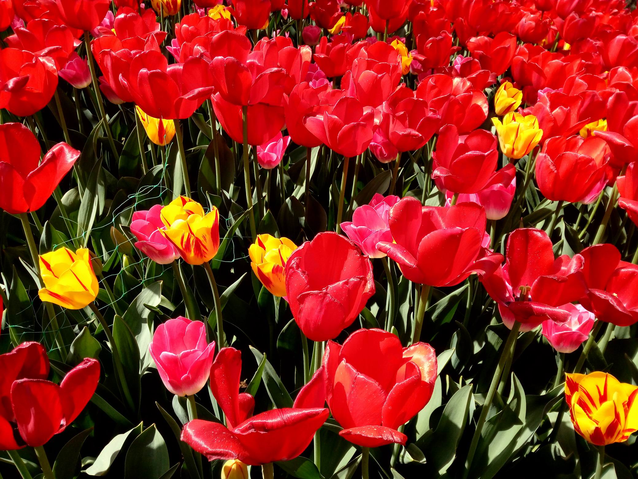 调整大小 IMG_20170430_093217