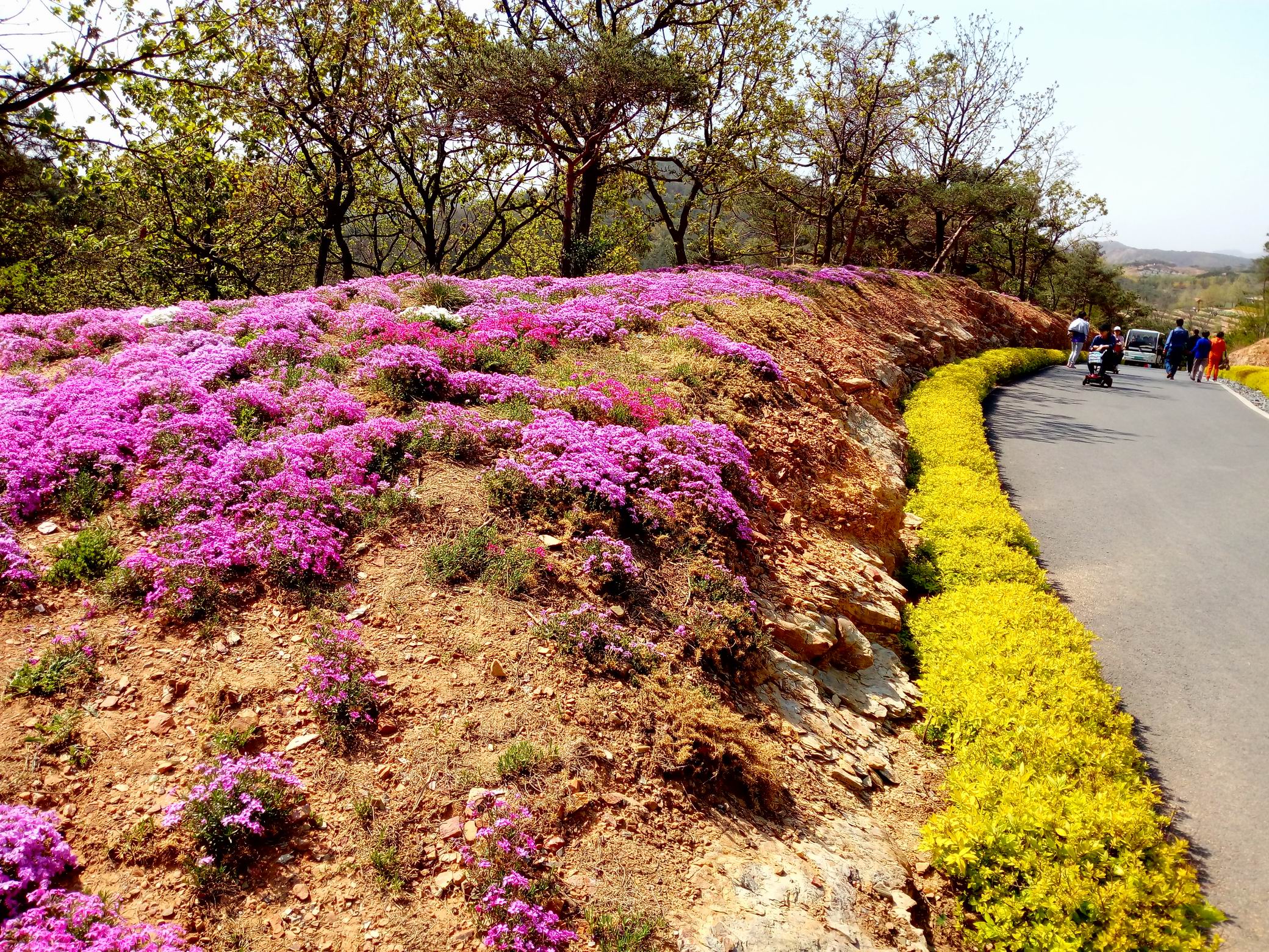 调整大小 IMG_20170430_094159