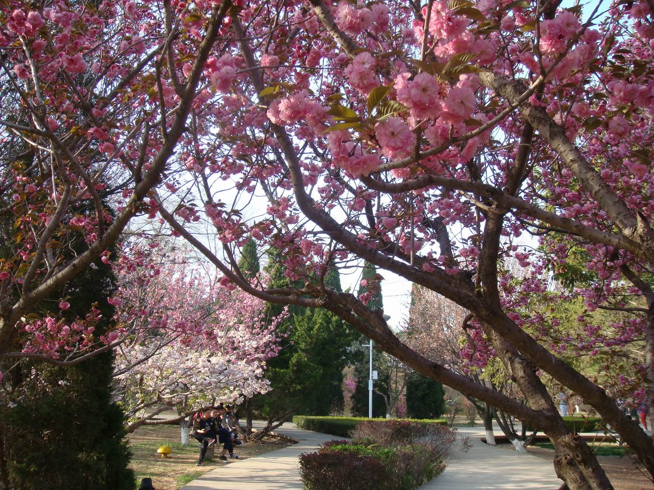 调整大小 DSC05120