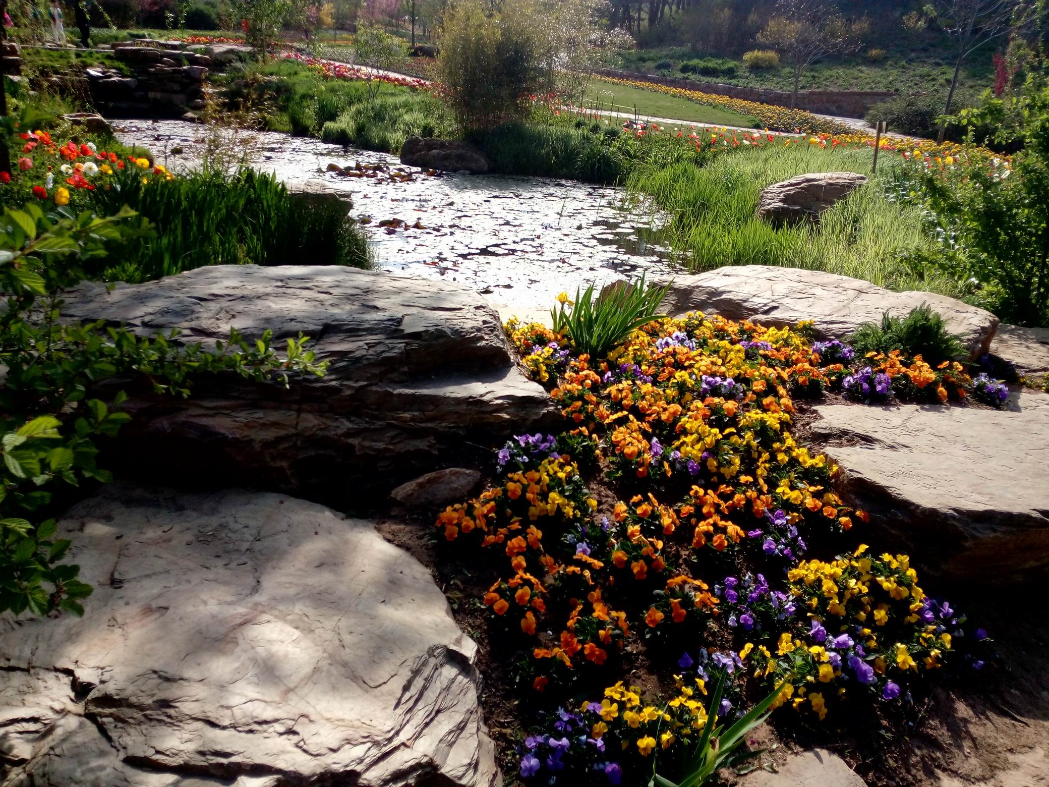 调整大小 IMG_20170430_082007