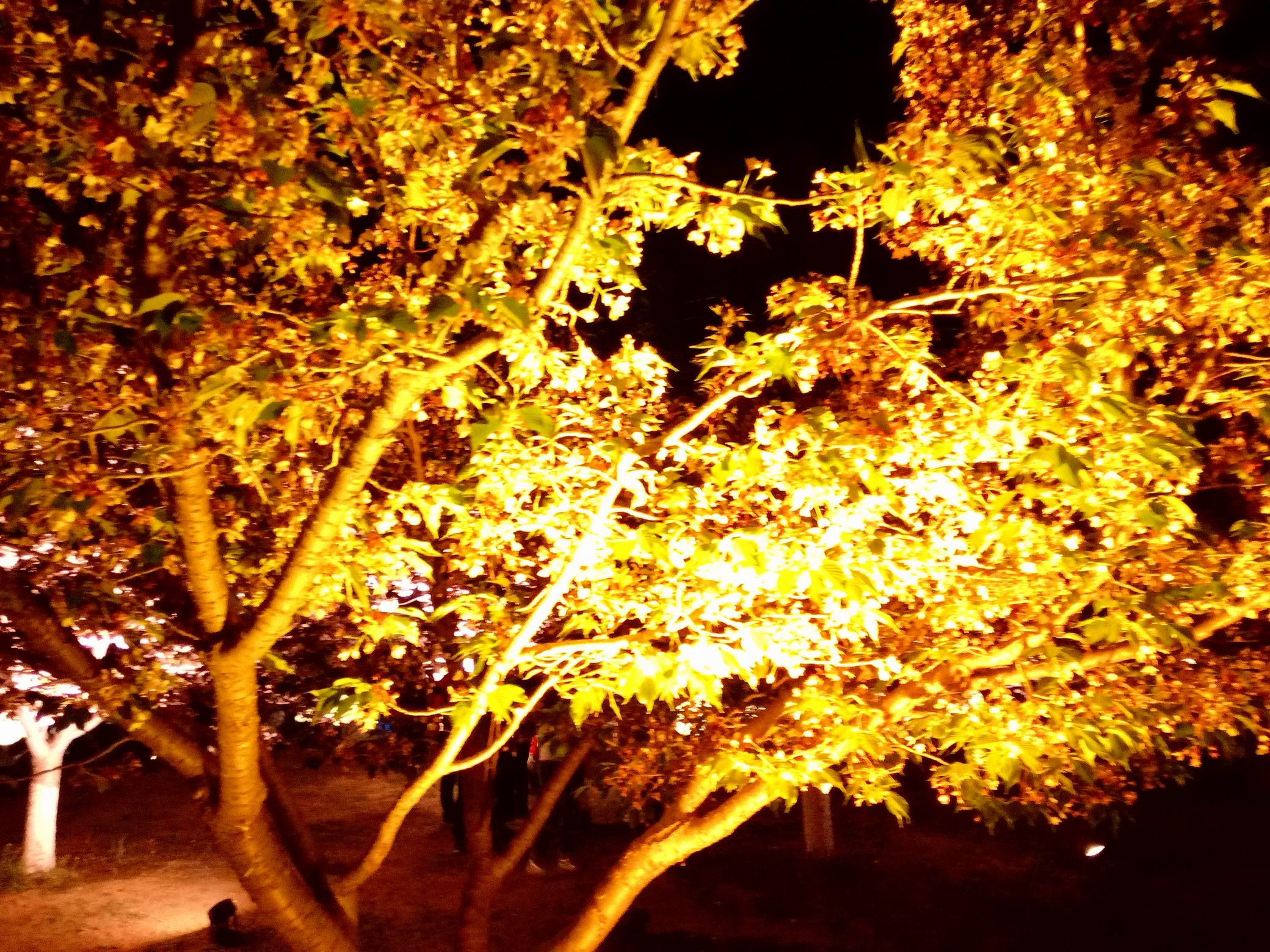 调整大小 IMG_20170429_193007