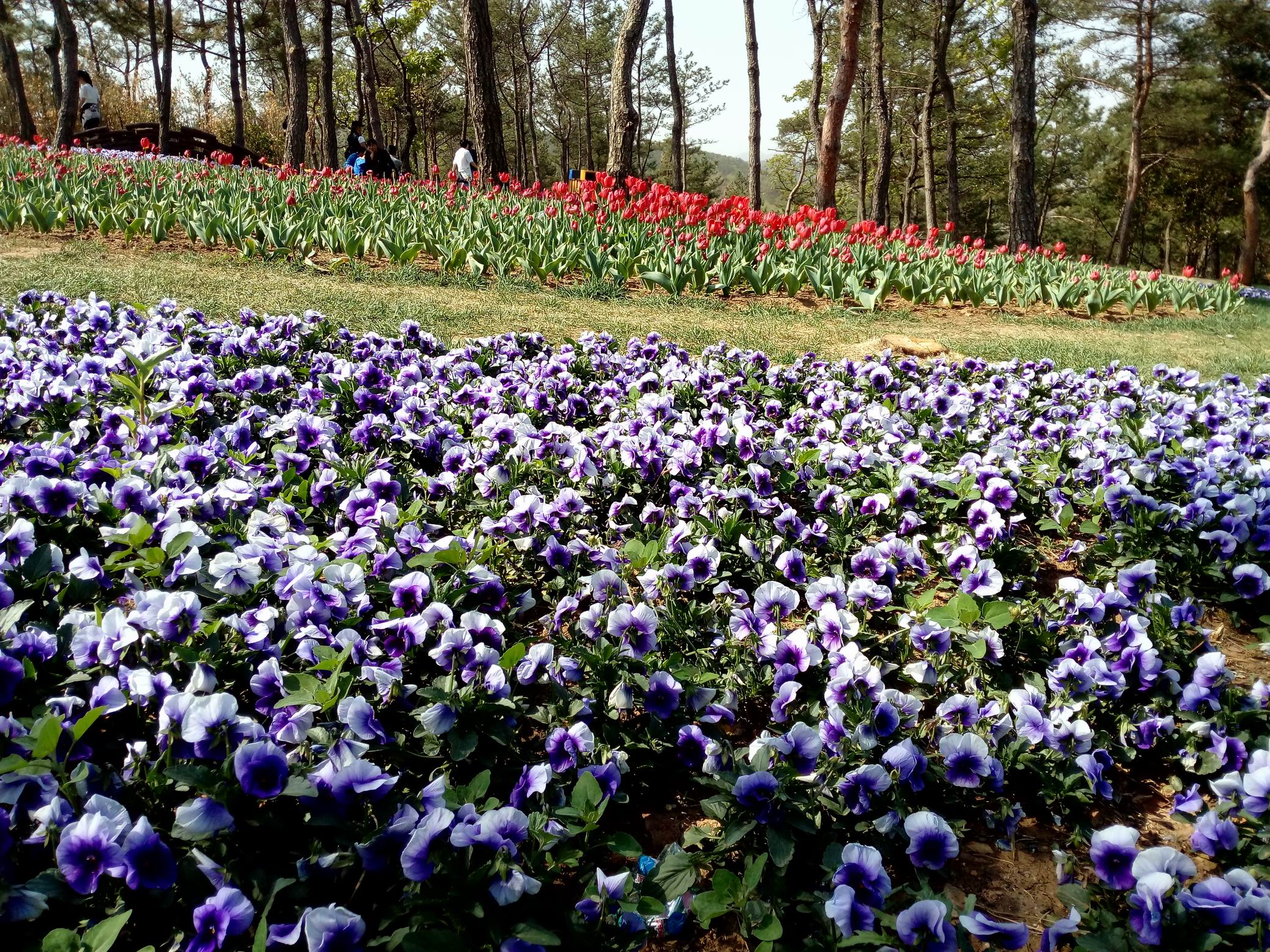 调整大小 IMG_20170430_092002