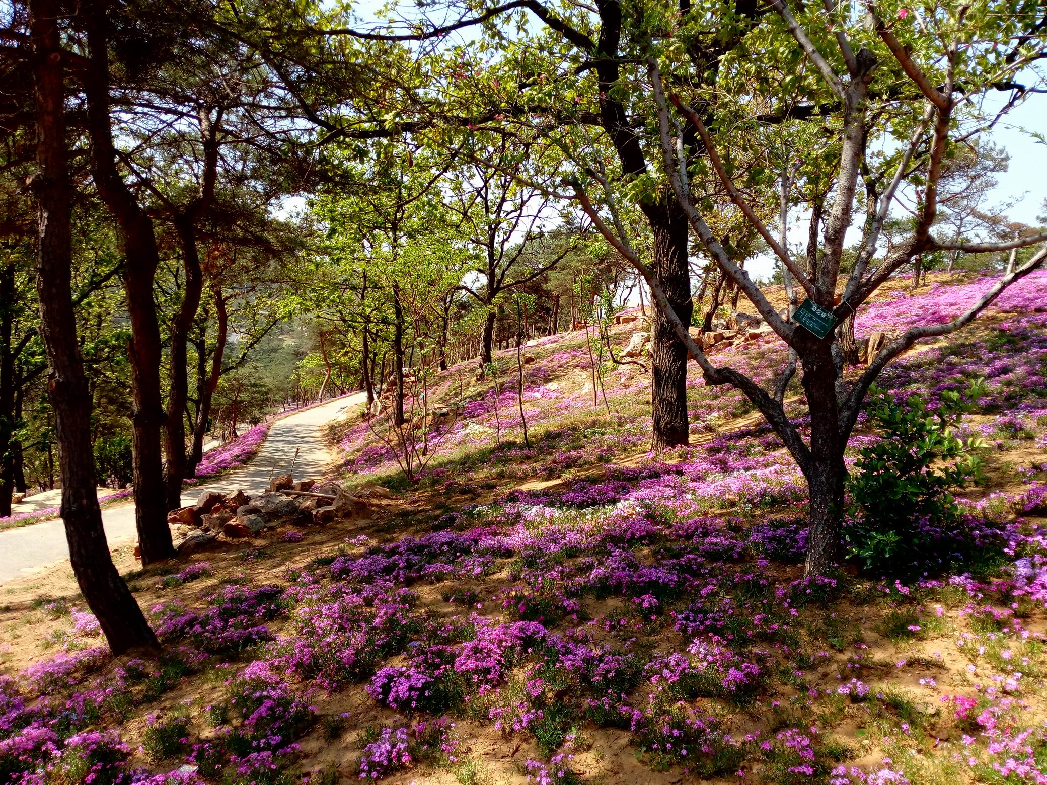 调整大小 IMG_20170430_094123