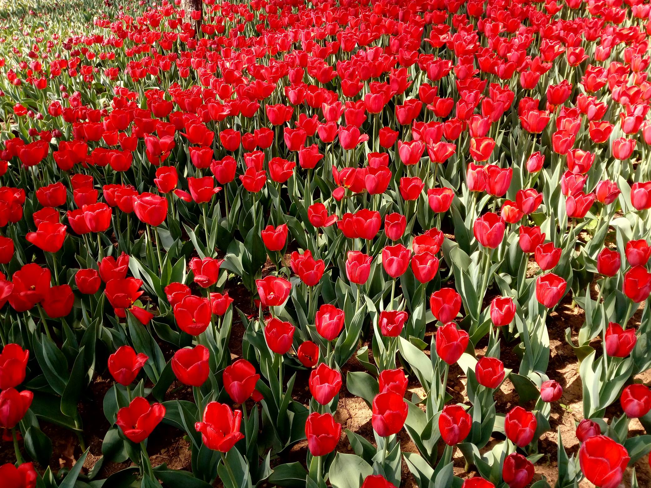 调整大小 IMG_20170430_091648