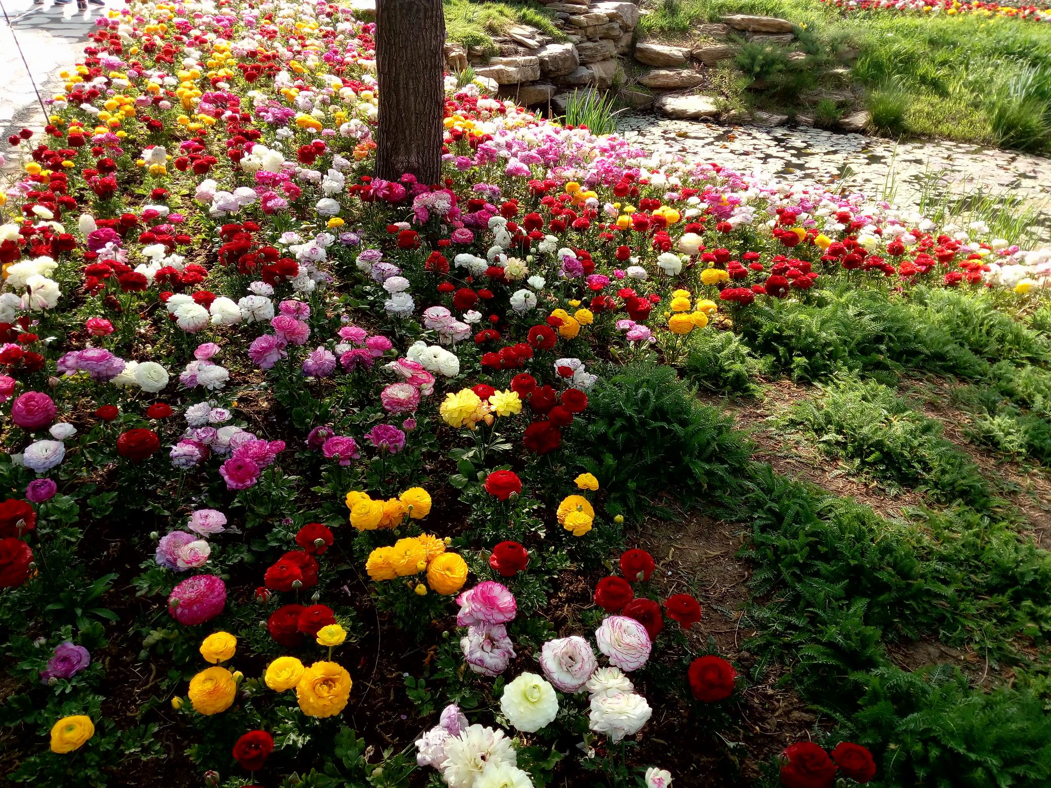 调整大小 IMG_20170430_082051