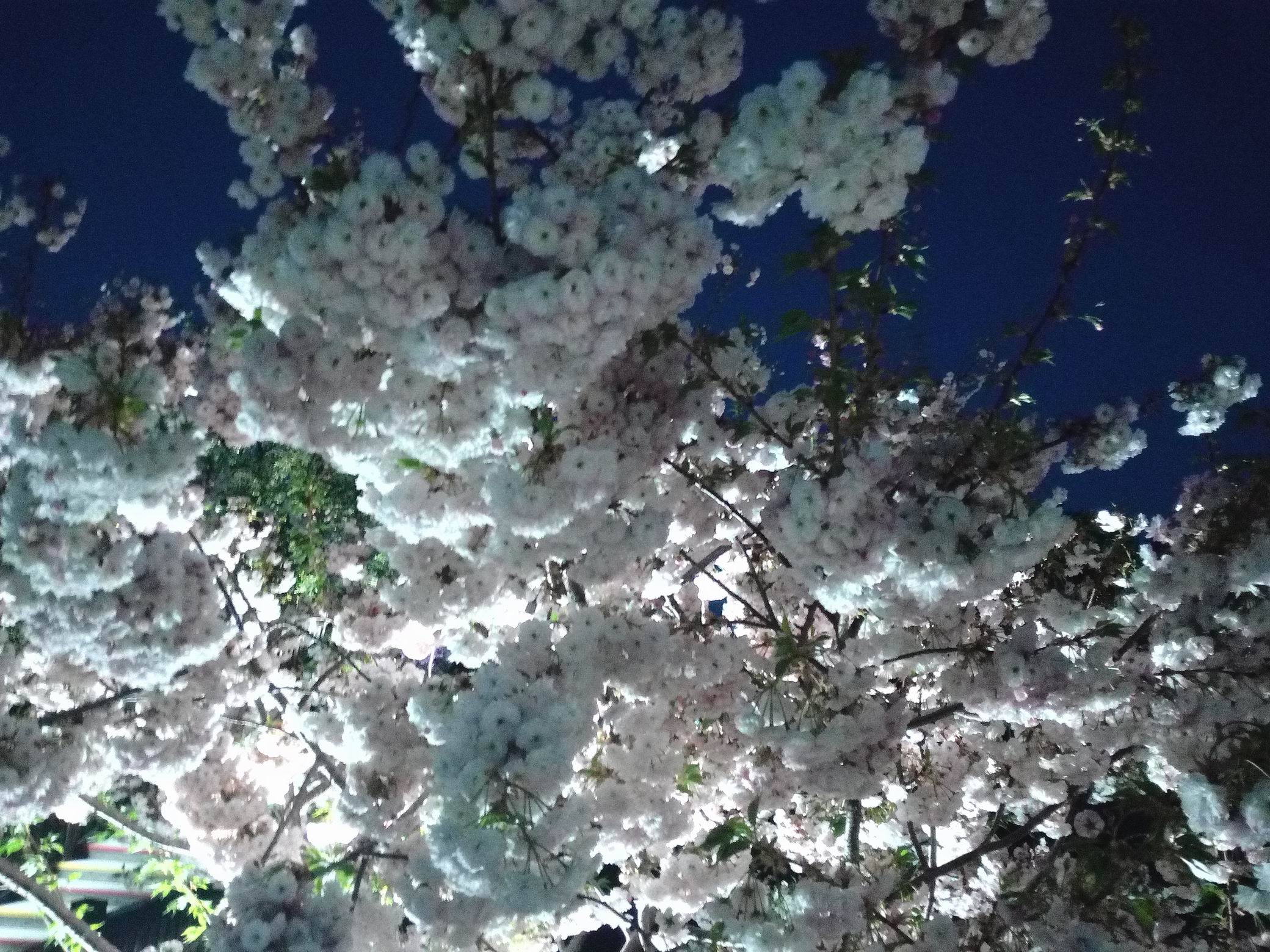 调整大小 IMG_20170429_192147