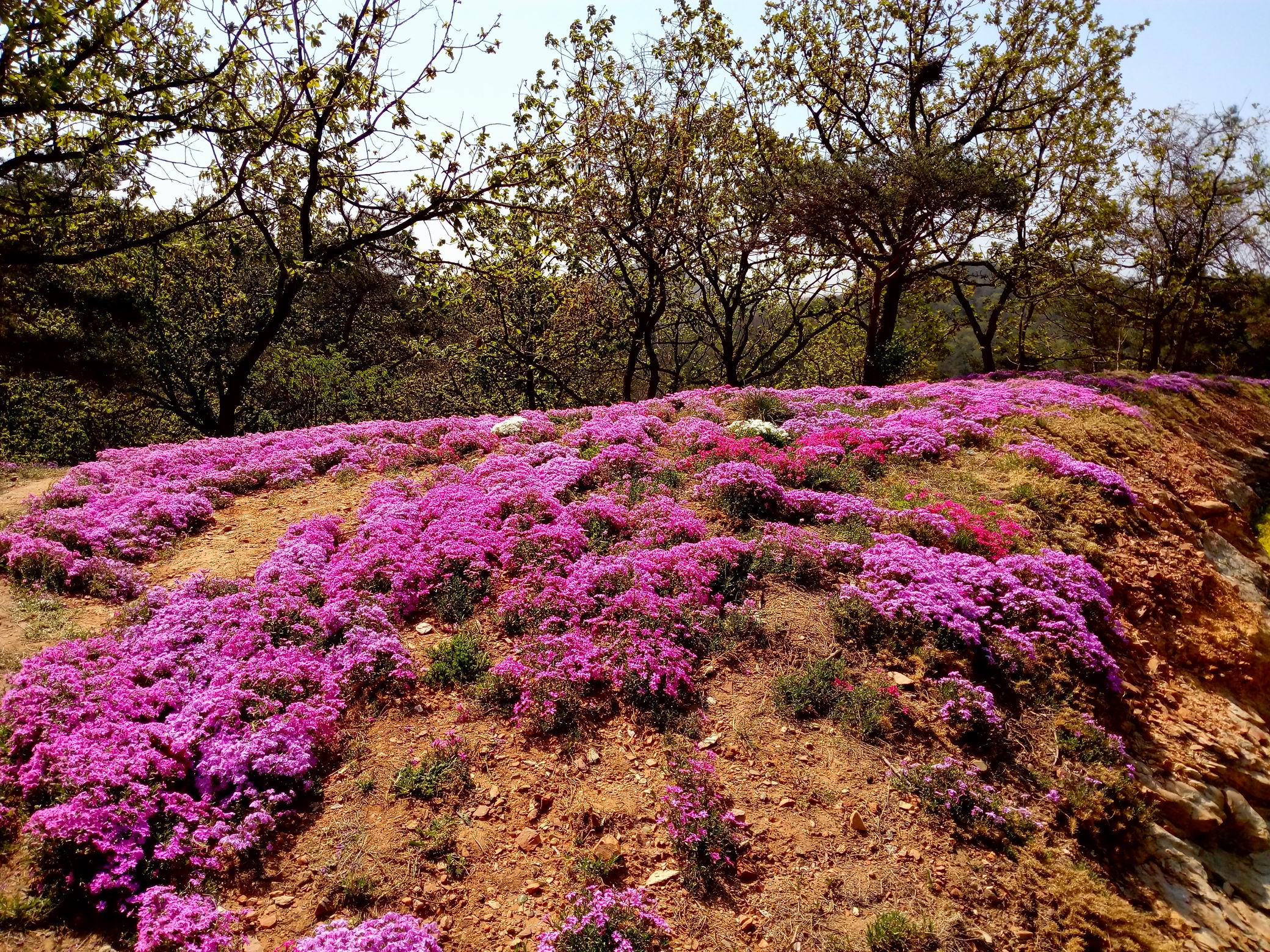 调整大小 IMG_20170430_094213