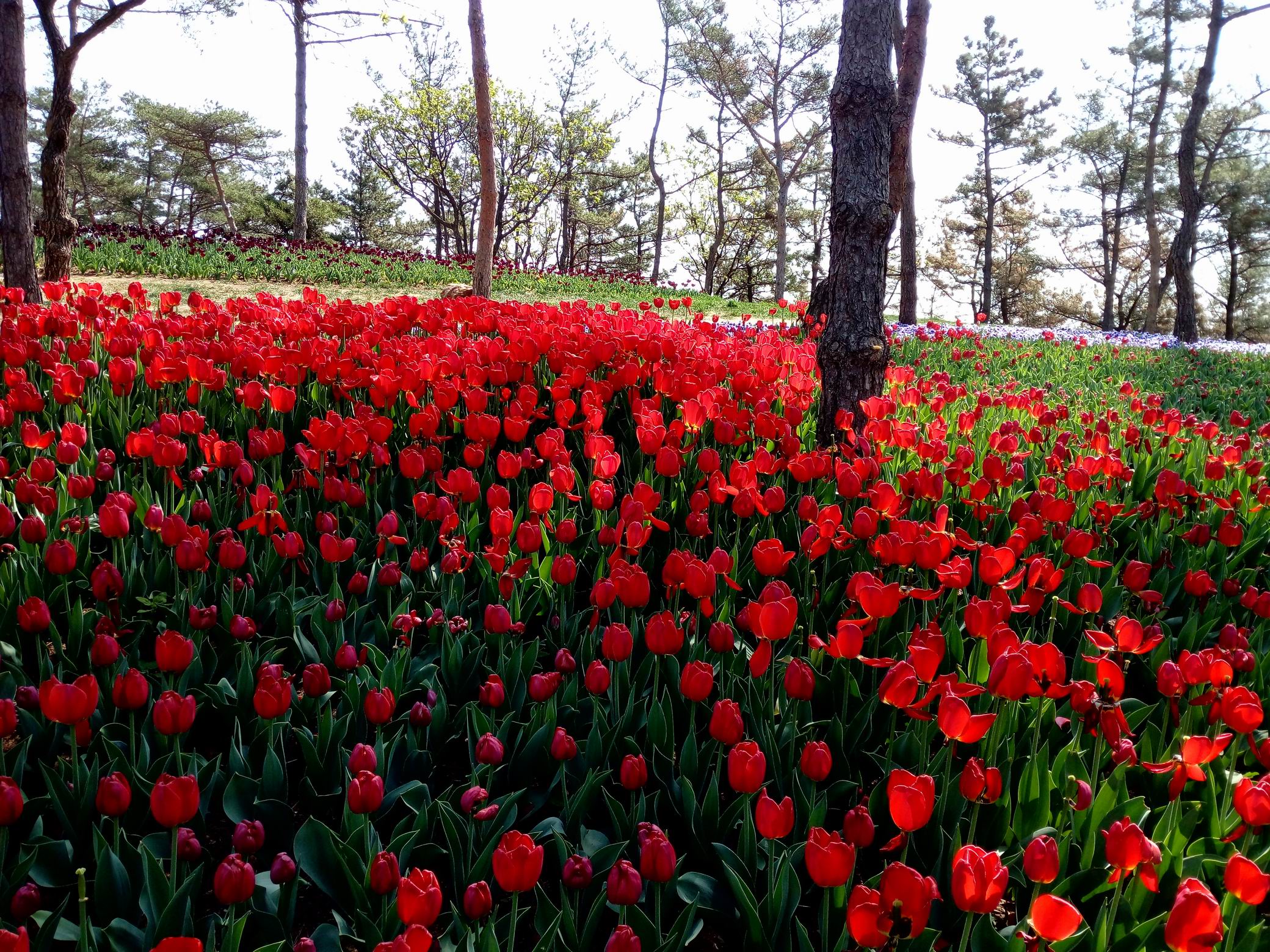 调整大小 IMG_20170430_092849