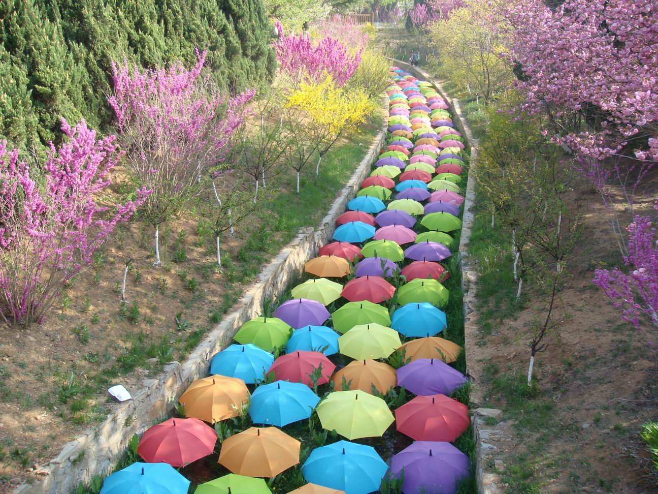 调整大小 DSC05091