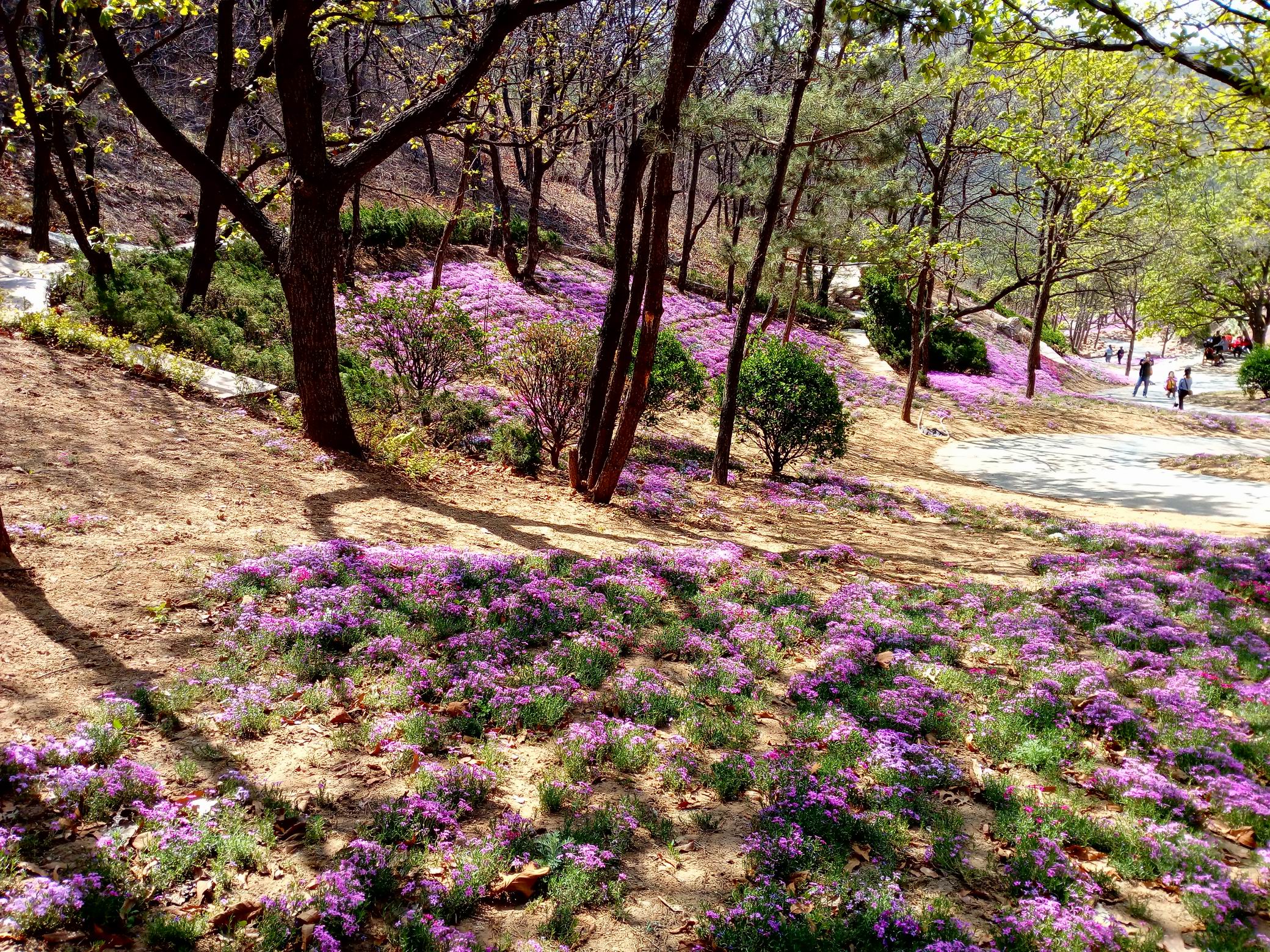 调整大小 IMG_20170430_094624