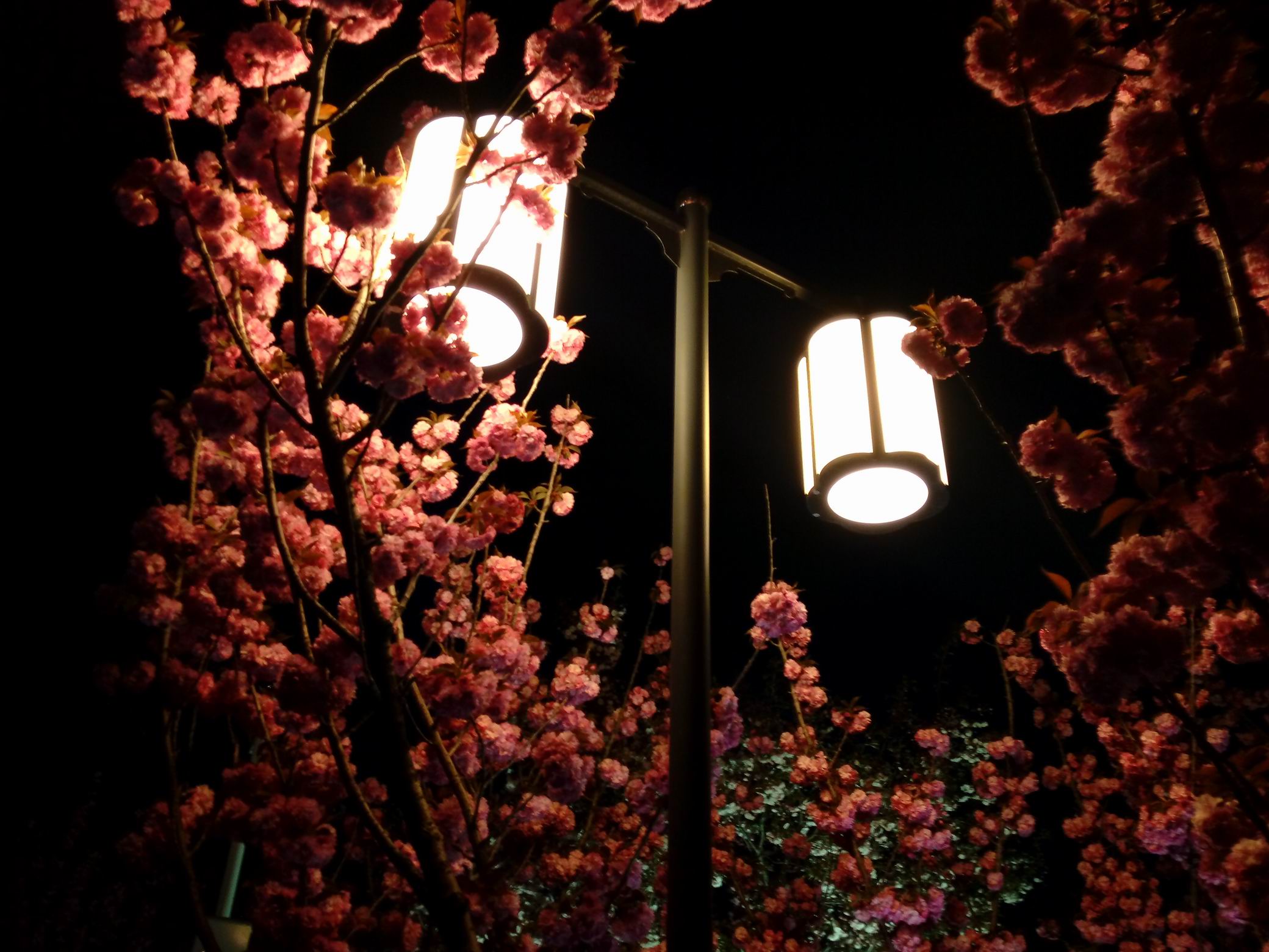 调整大小 IMG_20170429_193256