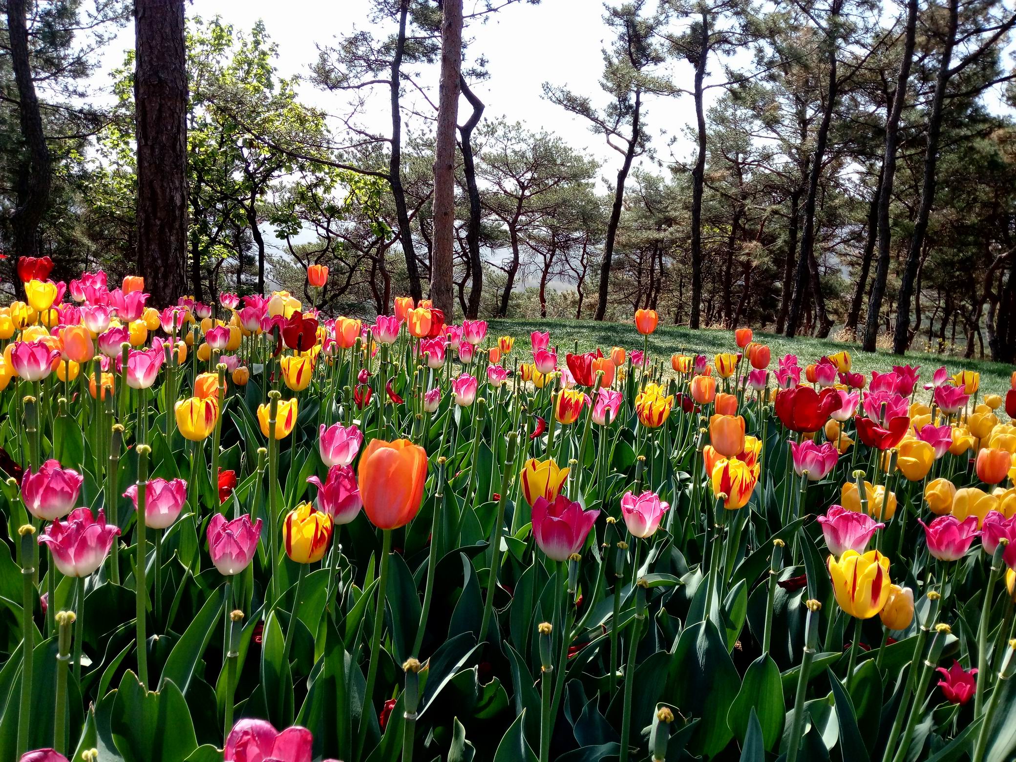 调整大小 IMG_20170430_093105