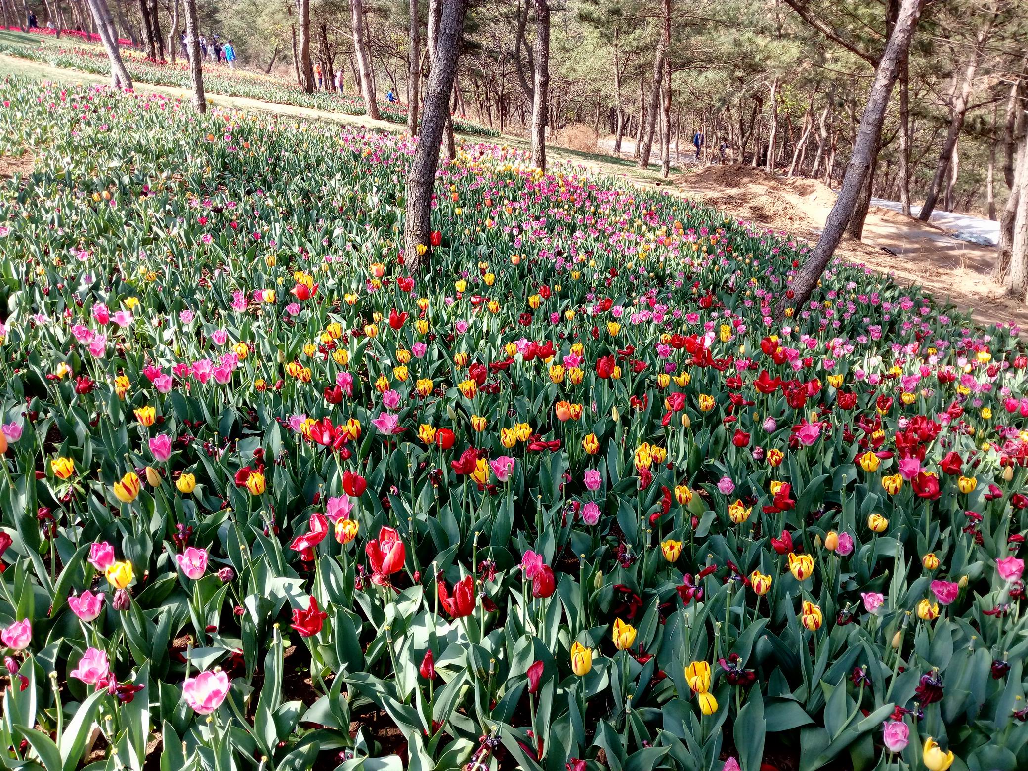 调整大小 IMG_20170430_092651