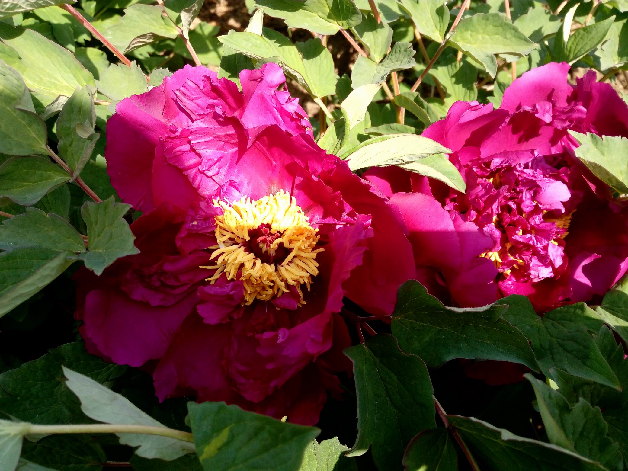 调整大小 IMG_20170430_104620