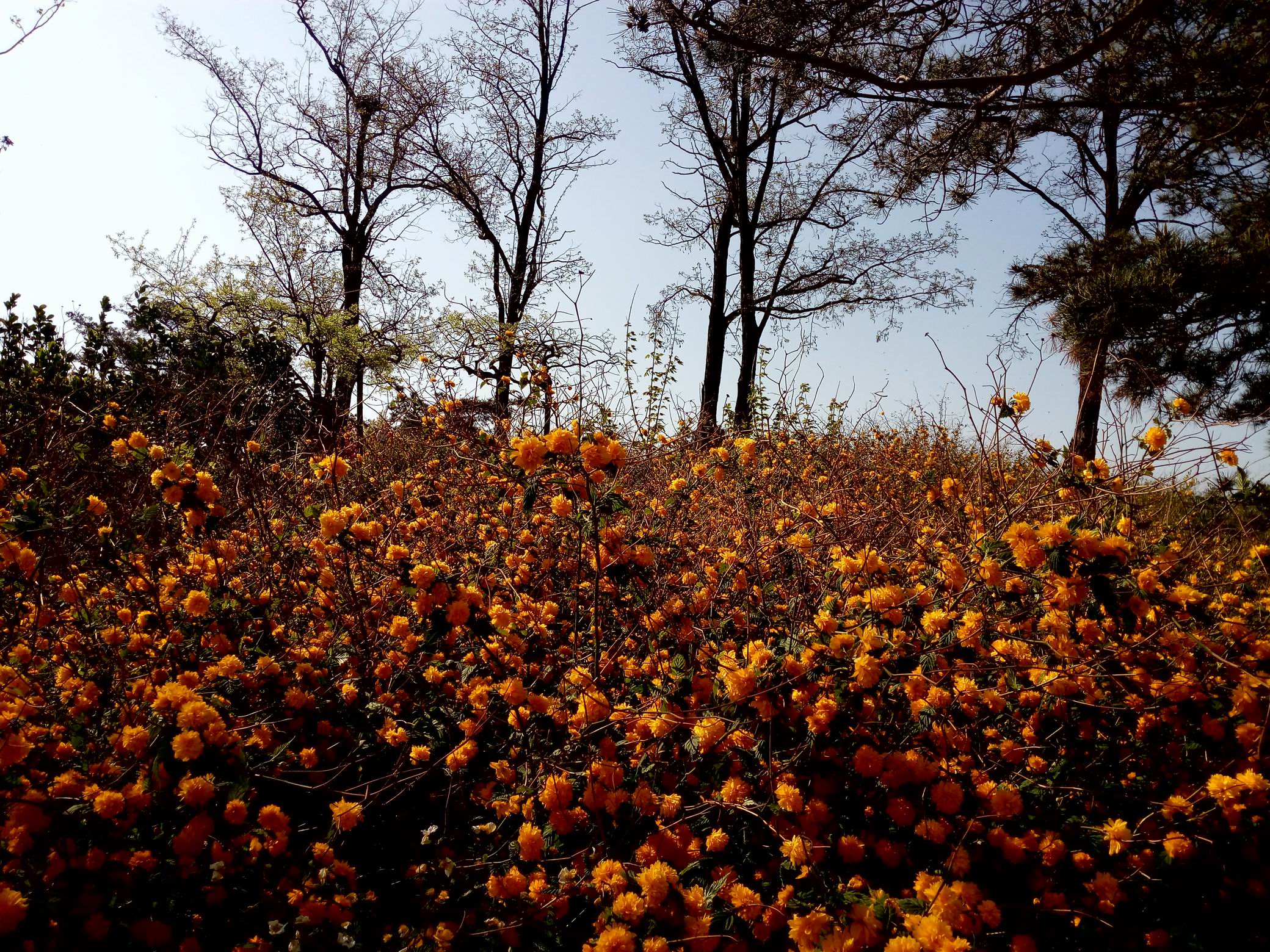 调整大小 IMG_20170430_083609