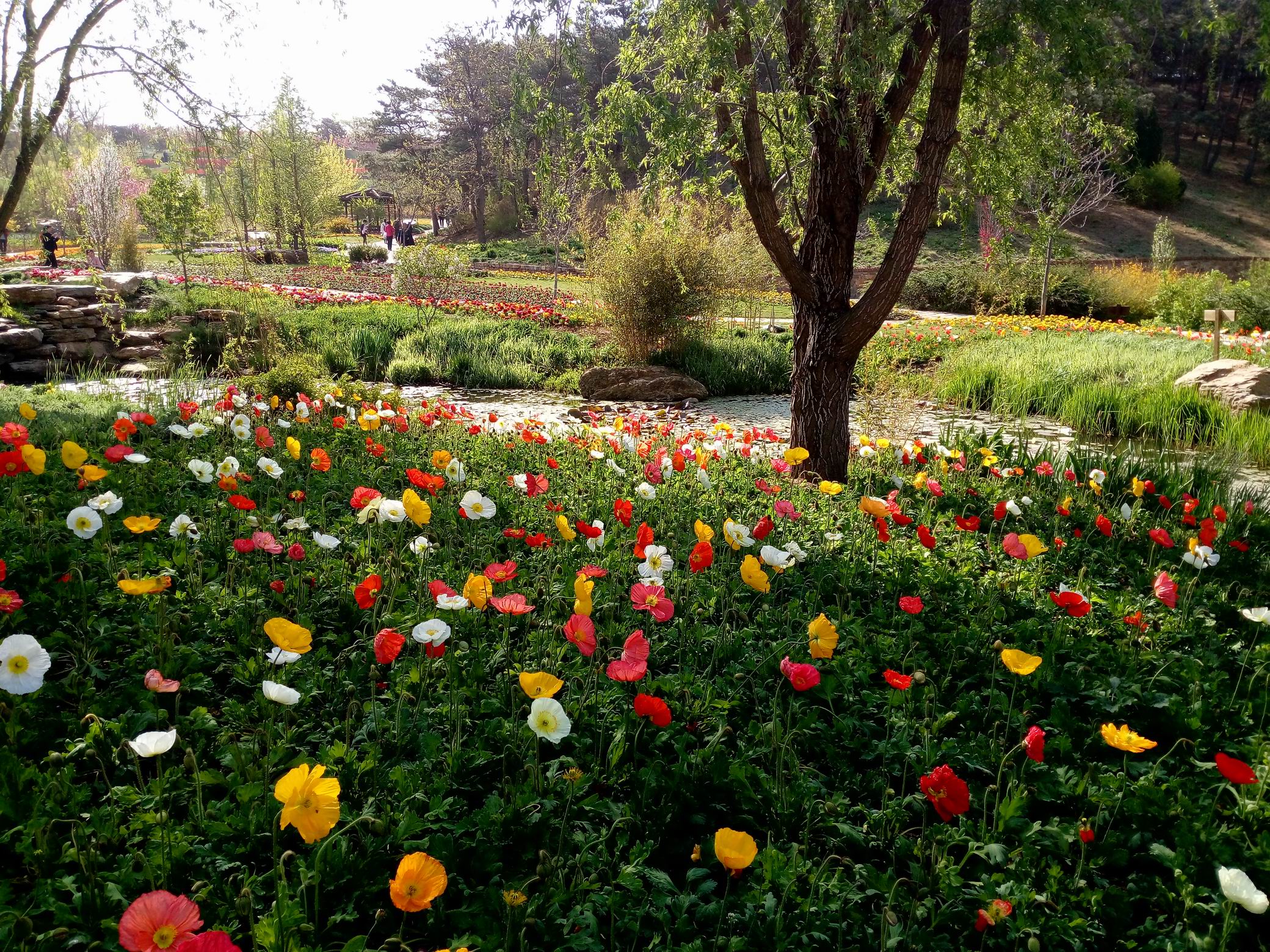 调整大小 IMG_20170430_082027