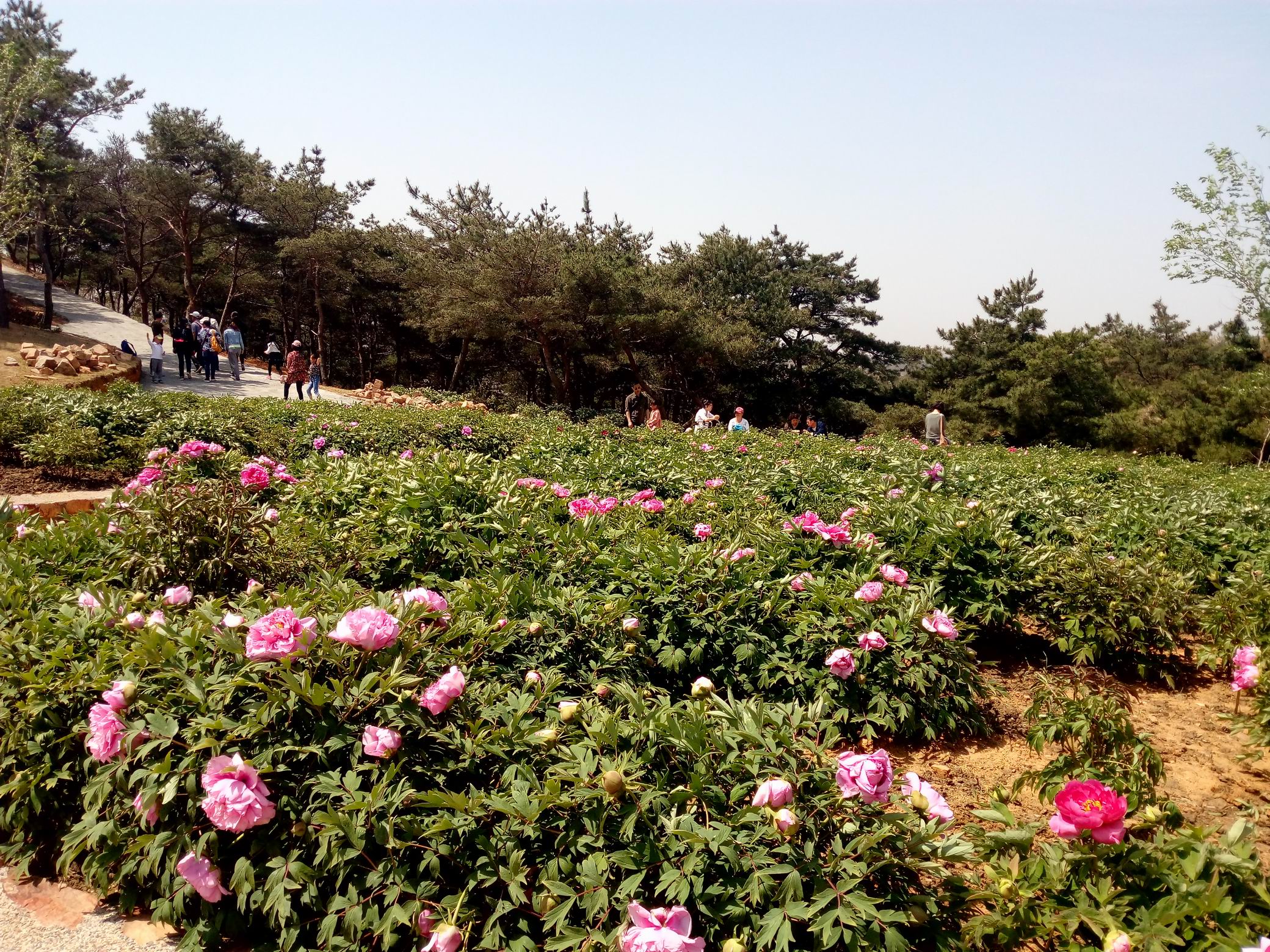 调整大小 IMG_20170430_104529