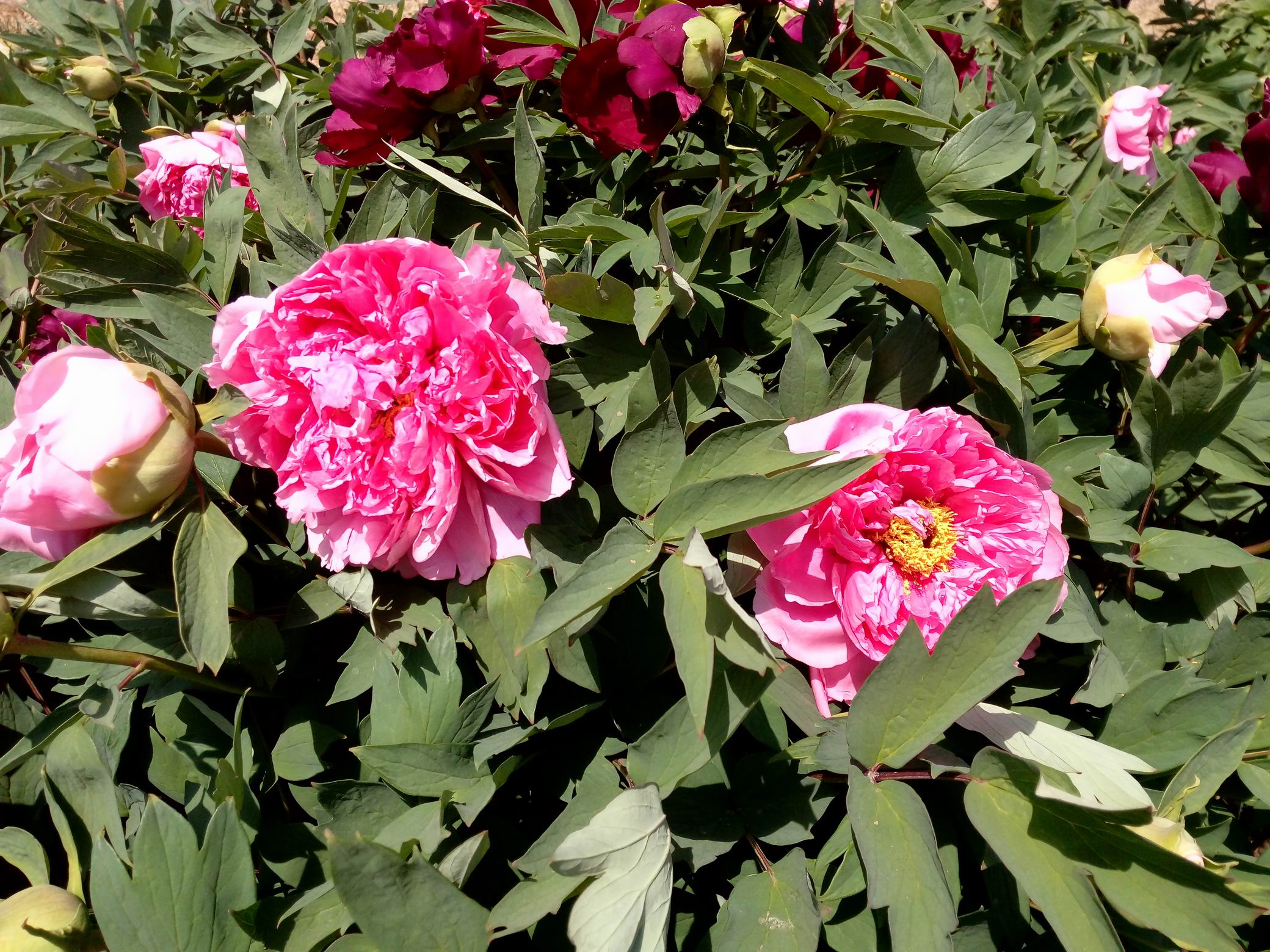 调整大小 IMG_20170430_103812