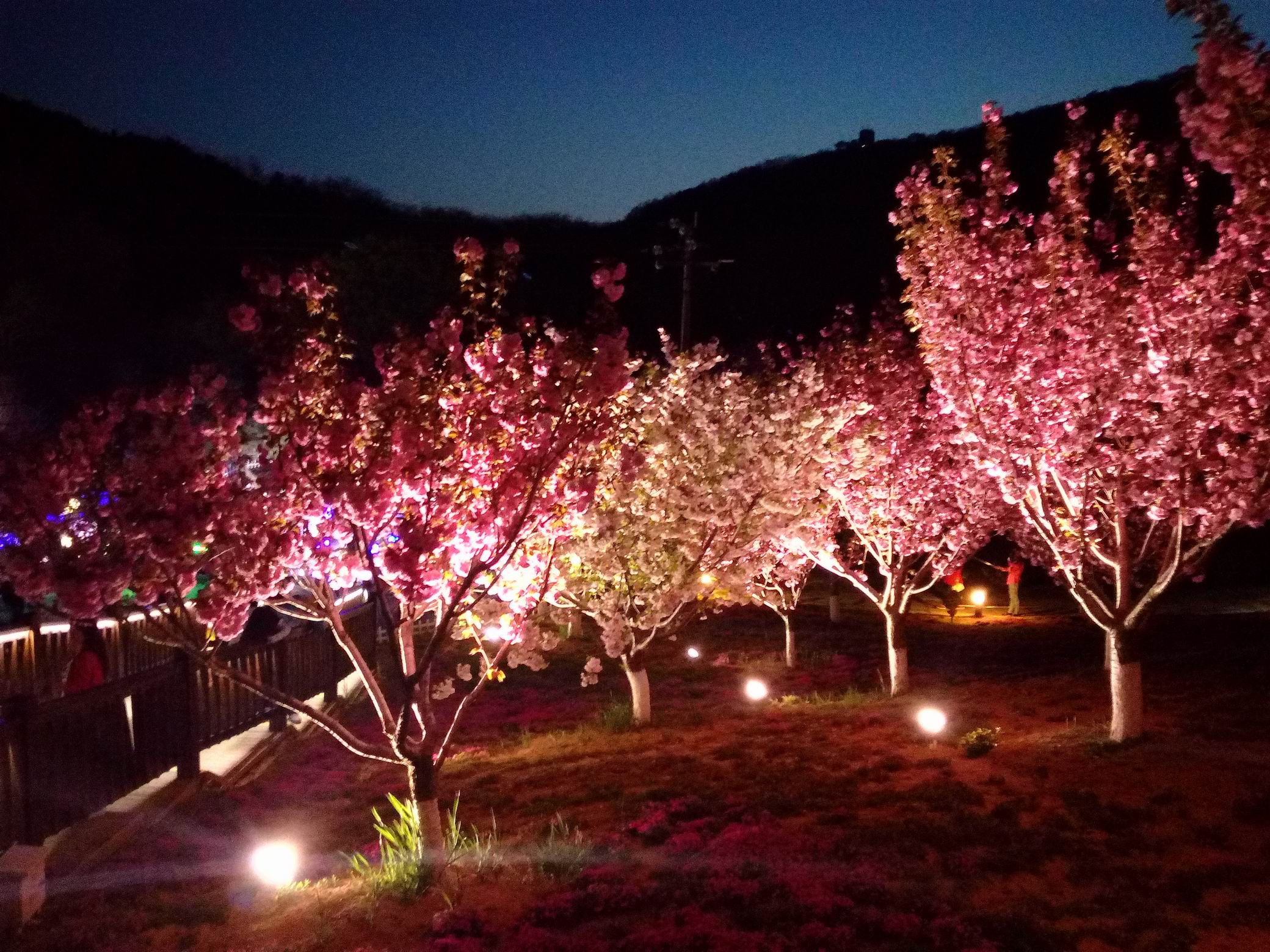 调整大小 IMG_20170429_192359