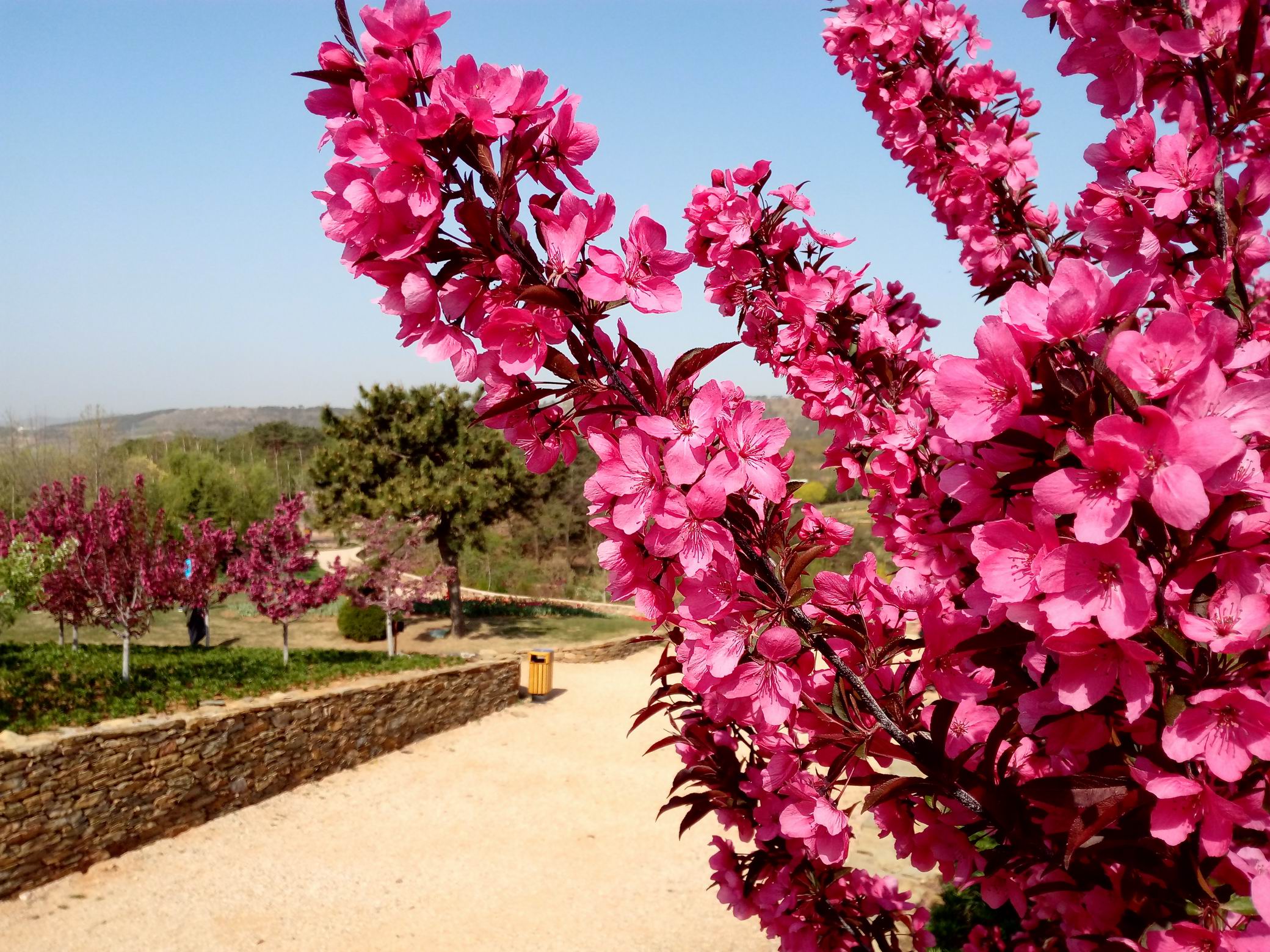 调整大小 IMG_20170430_084909