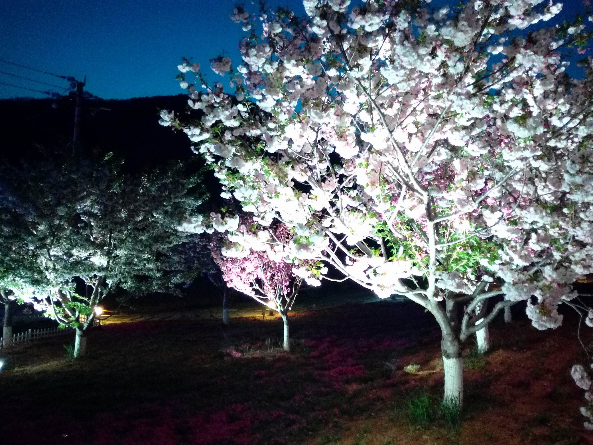 调整大小 IMG_20170429_192439