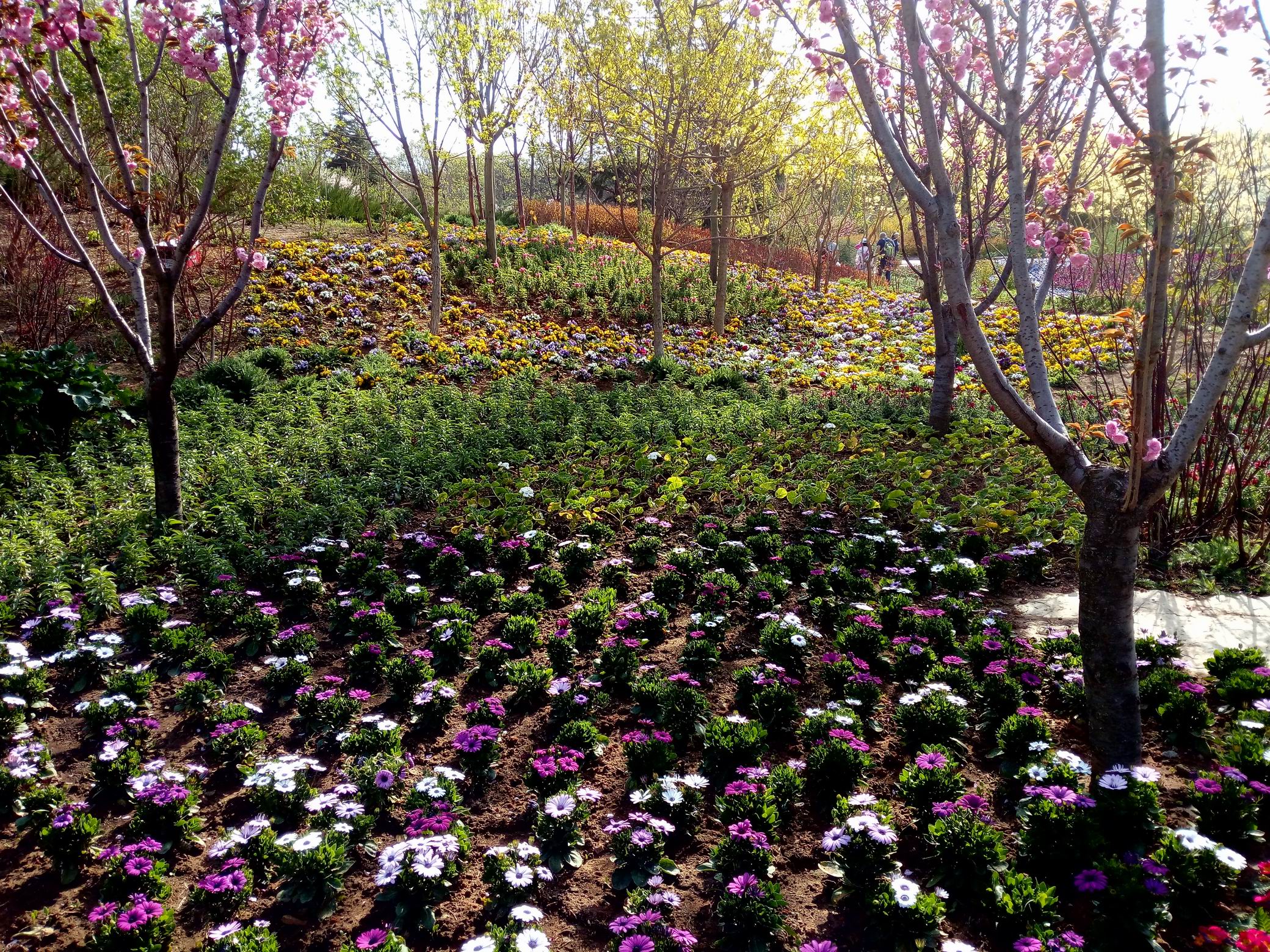 调整大小 IMG_20170430_082749