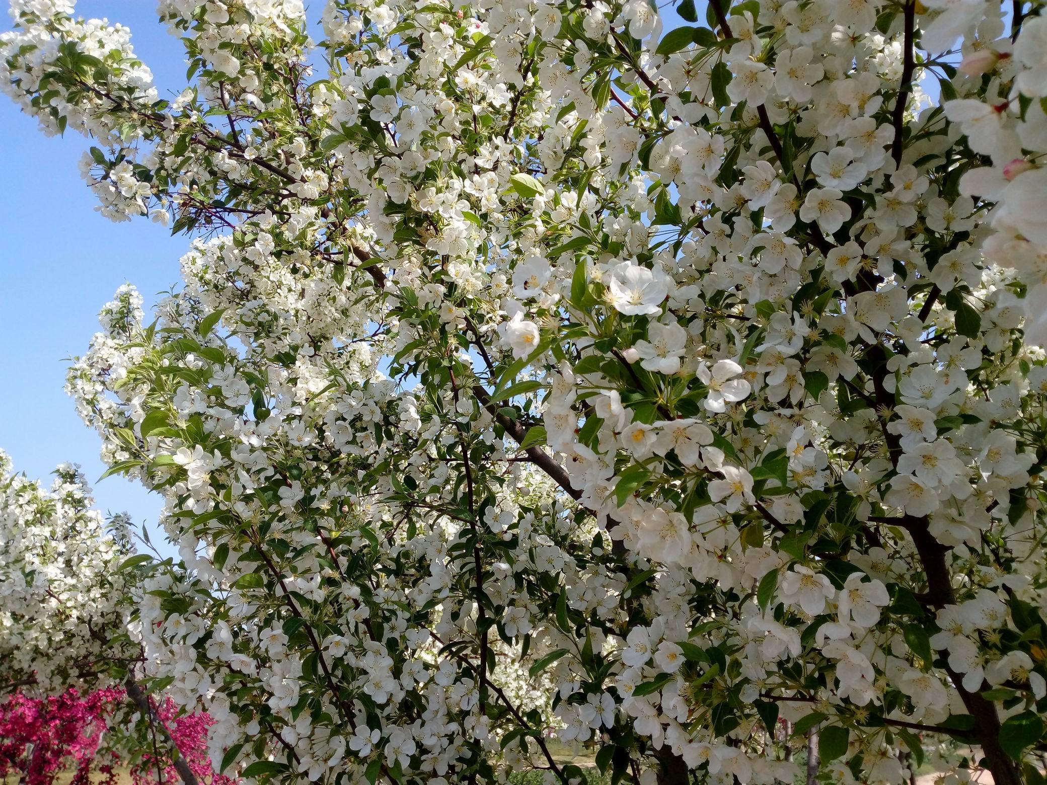 调整大小 IMG_20170430_085912