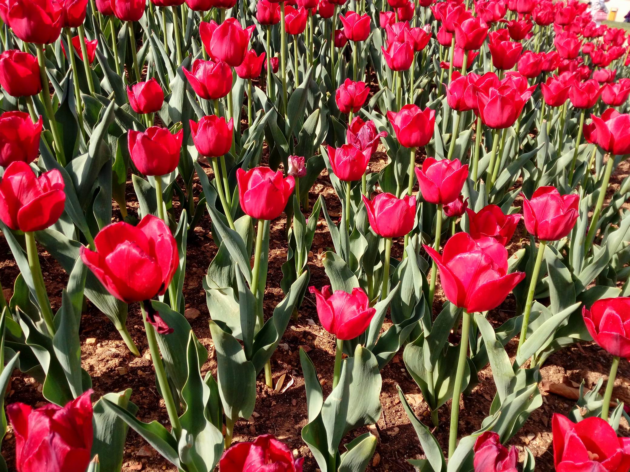 调整大小 IMG_20170430_085300