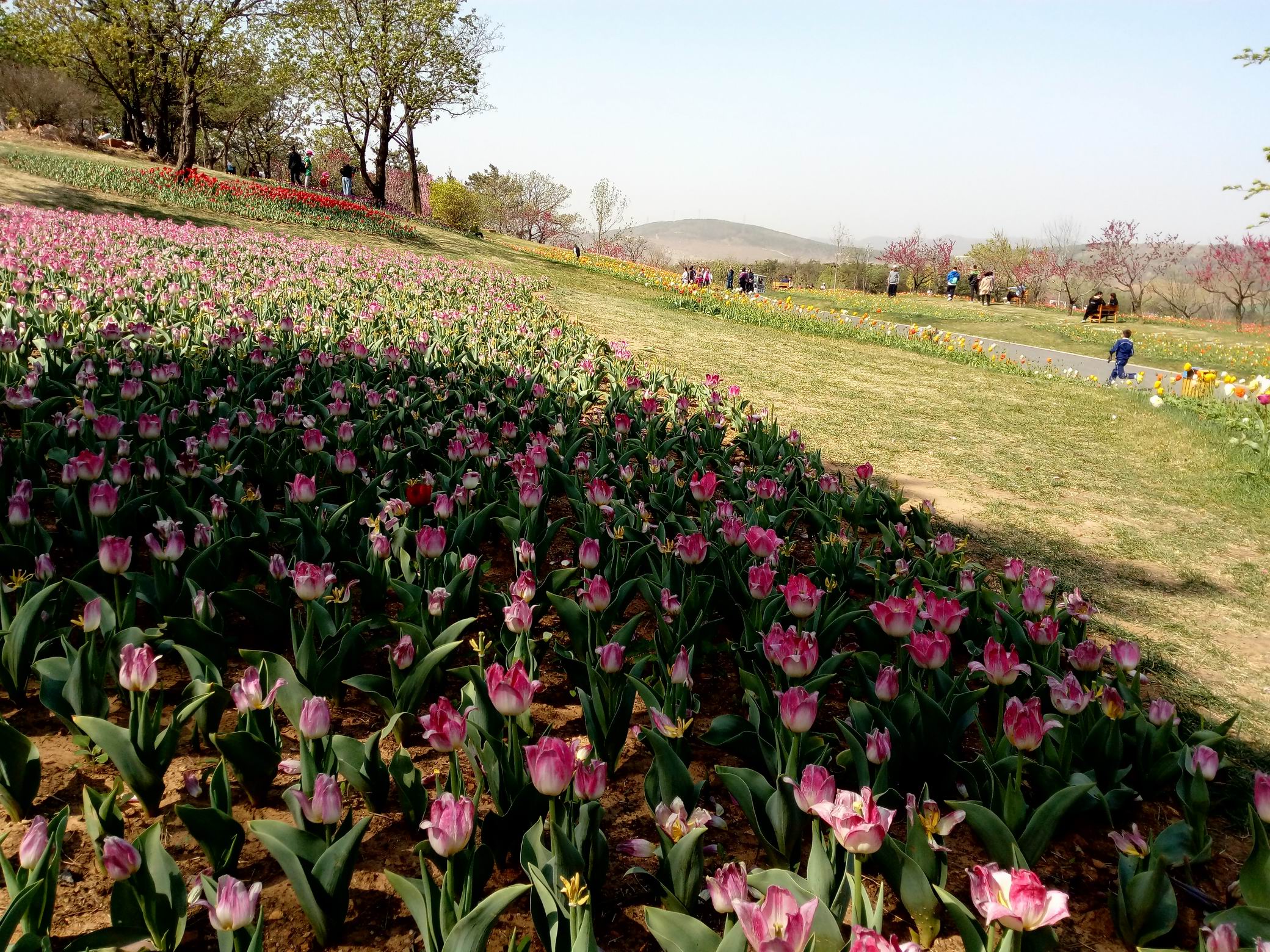 调整大小 IMG_20170430_091307