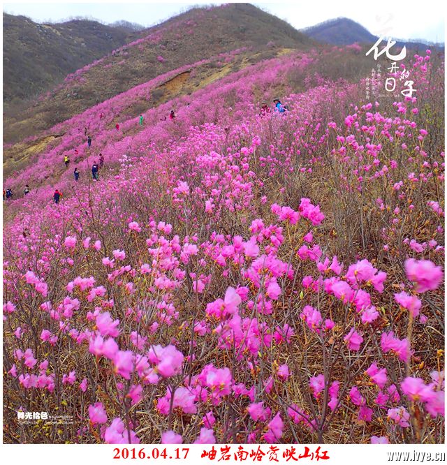 194338iopf0ngmtmft80mp