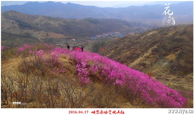 194243r391tiskf6kv91v5