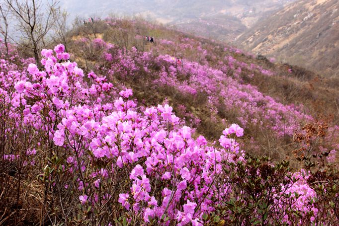 001E1a6tzy7alRqEhDbc1&690