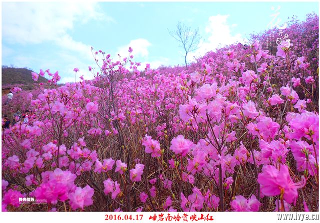 194318zolptejpb4fb24gw