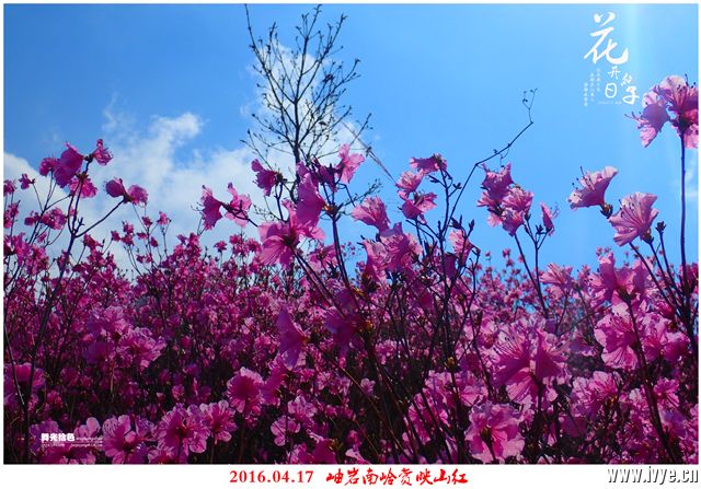 193641xz62rwwb7w6pbhpo