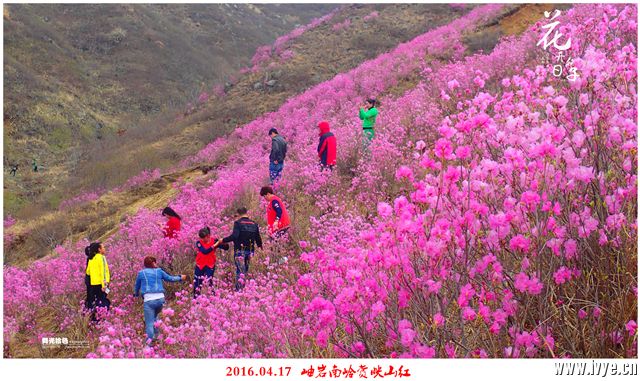 193646sb35pe3590l1sie0