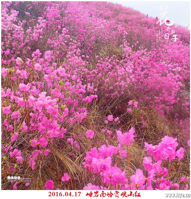 194116ddb3b734di0m3fue