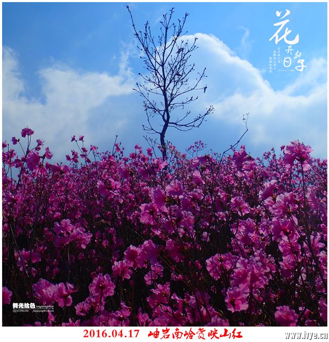 194310xq1prp1hmjkjiqy3