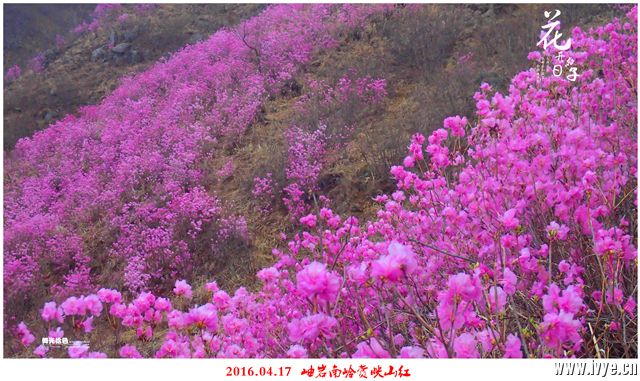 194300kppnuqupjjxmpqpj