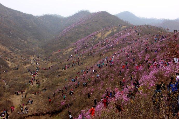 001E1a6tzy7aqzZLrvYa2&690