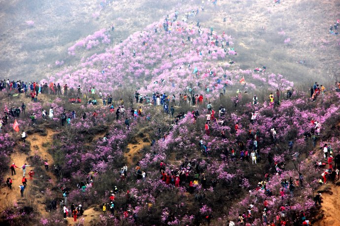 001E1a6tzy7alRt7Ssuf6&690