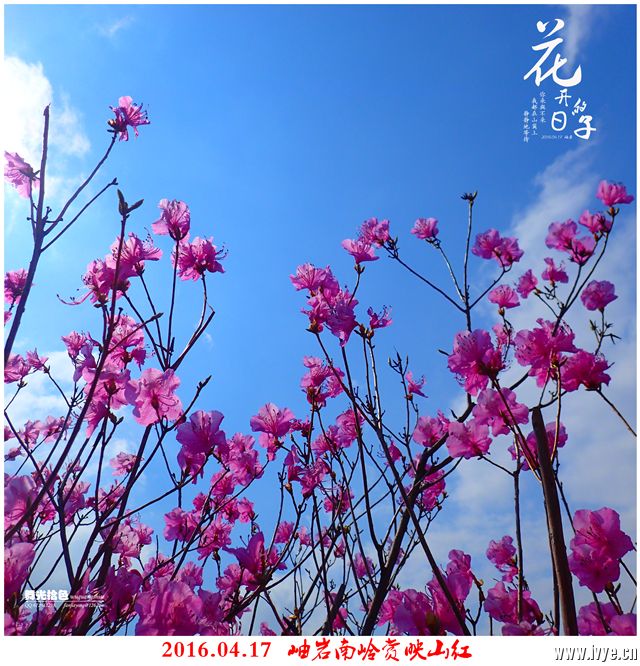 193631lz625fb2n99qi2u7