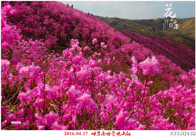 194206k2ww52tk2zw5ndcn